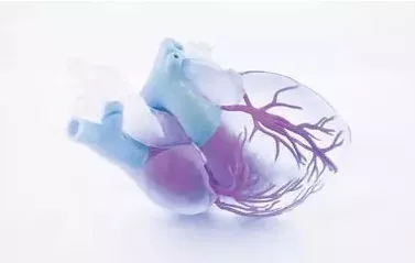 于超声数据的3D打印技术在心脏领域的应用进展的图2